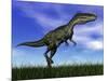 Monolophosaurus Dinosaur Walking in the Grass-null-Mounted Art Print