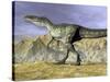 Monolophosaurus Dinosaur Walking on Rocky Terrain Near Mountain-null-Stretched Canvas