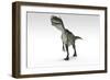 Monolophosaurus Dinosaur, White Background-null-Framed Art Print