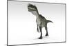 Monolophosaurus Dinosaur, White Background-null-Mounted Art Print