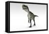 Monolophosaurus Dinosaur, White Background-null-Framed Stretched Canvas