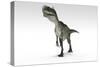 Monolophosaurus Dinosaur, White Background-null-Stretched Canvas