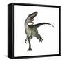 Monolophosaurus Dinosaur-null-Framed Stretched Canvas