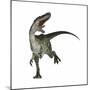 Monolophosaurus Dinosaur-null-Mounted Premium Giclee Print