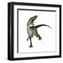 Monolophosaurus Dinosaur-null-Framed Art Print