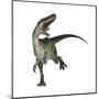 Monolophosaurus Dinosaur-null-Mounted Art Print