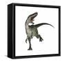 Monolophosaurus Dinosaur-null-Framed Stretched Canvas