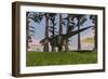 Monolophosaurus Running across a Grassy Field-null-Framed Art Print