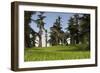 Monolophosaurus Running across a Grassy Field-null-Framed Art Print