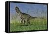 Monolophosaurus Walking across a Grassy Field-null-Framed Stretched Canvas