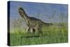 Monolophosaurus Walking across a Grassy Field-null-Stretched Canvas