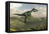 Monolophosaurus Walking across Desert Terrain-null-Framed Stretched Canvas