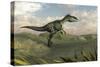 Monolophosaurus Walking across Desert Terrain-null-Stretched Canvas