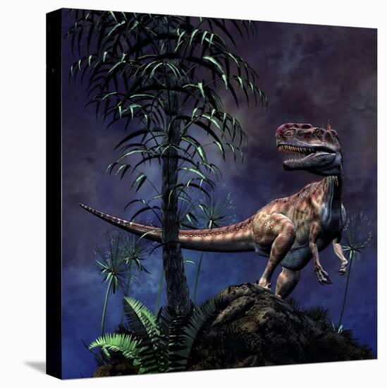 Monolophosaurus Was a Theropod Dinosaur from the Middle Jurassic Period-null-Stretched Canvas