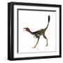 Mononykus, a Theropod Dinosaur from the Late Cretaceous-null-Framed Art Print