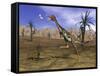 Mononykus Dinosaur Chasing a Dragonfly in the Desert-Stocktrek Images-Framed Stretched Canvas