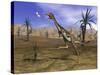 Mononykus Dinosaur Chasing a Dragonfly in the Desert-Stocktrek Images-Stretched Canvas
