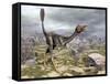 Mononykus Dinosaur Eating a Lizard Gecko-Stocktrek Images-Framed Stretched Canvas