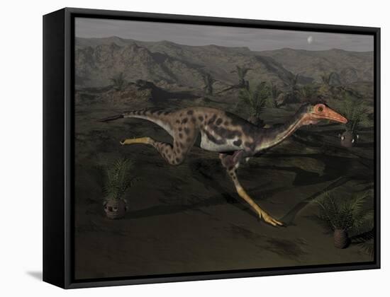 Mononykus Dinosaur Running at Night-Stocktrek Images-Framed Stretched Canvas