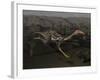 Mononykus Dinosaur Running at Night-Stocktrek Images-Framed Art Print