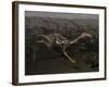 Mononykus Dinosaur Running at Night-Stocktrek Images-Framed Art Print