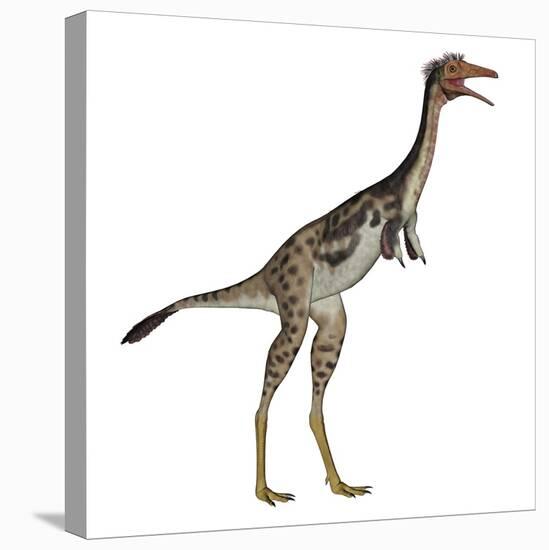 Mononykus Dinosaur Standing-Stocktrek Images-Stretched Canvas