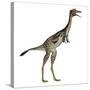 Mononykus Dinosaur Standing-Stocktrek Images-Stretched Canvas
