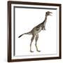 Mononykus Dinosaur Standing-Stocktrek Images-Framed Premium Giclee Print