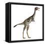 Mononykus Dinosaur Standing-Stocktrek Images-Framed Stretched Canvas