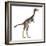 Mononykus Dinosaur Standing-Stocktrek Images-Framed Art Print