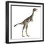 Mononykus Dinosaur Standing-Stocktrek Images-Framed Art Print