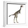 Mononykus Dinosaur Standing-Stocktrek Images-Framed Art Print