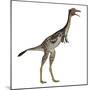 Mononykus Dinosaur Standing-Stocktrek Images-Mounted Art Print