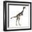 Mononykus Dinosaur Standing-Stocktrek Images-Framed Art Print