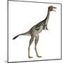 Mononykus Dinosaur Standing-Stocktrek Images-Mounted Art Print