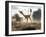 Mononykus Dinosaur Walking in the Desert-Stocktrek Images-Framed Art Print