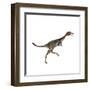 Mononykus Dinosaur-Stocktrek Images-Framed Art Print