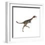 Mononykus Dinosaur-Stocktrek Images-Framed Art Print