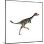 Mononykus Dinosaur-Stocktrek Images-Mounted Art Print