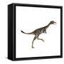 Mononykus Dinosaur-Stocktrek Images-Framed Stretched Canvas