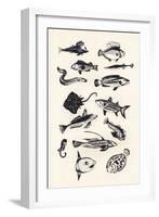 Monotone Plain Fish, 2015-Eliza Southwood-Framed Giclee Print