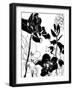 Monotype Garden II-June Vess-Framed Art Print