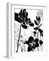 Monotype Garden II-June Vess-Framed Art Print