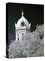 Monroe County Courthouse, Monroeville, Alabama-Carol Highsmith-Stretched Canvas