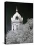 Monroe County Courthouse, Monroeville, Alabama-Carol Highsmith-Stretched Canvas