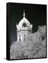 Monroe County Courthouse, Monroeville, Alabama-Carol Highsmith-Framed Stretched Canvas