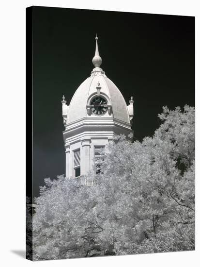 Monroe County Courthouse, Monroeville, Alabama-Carol Highsmith-Stretched Canvas