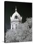 Monroe County Courthouse, Monroeville, Alabama-Carol Highsmith-Stretched Canvas