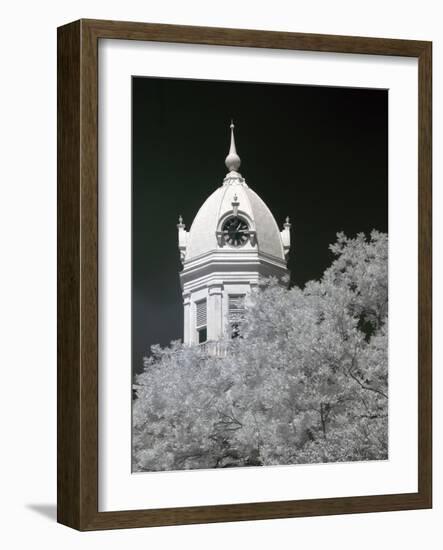 Monroe County Courthouse, Monroeville, Alabama-Carol Highsmith-Framed Photo