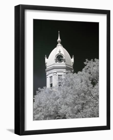 Monroe County Courthouse, Monroeville, Alabama-Carol Highsmith-Framed Photo